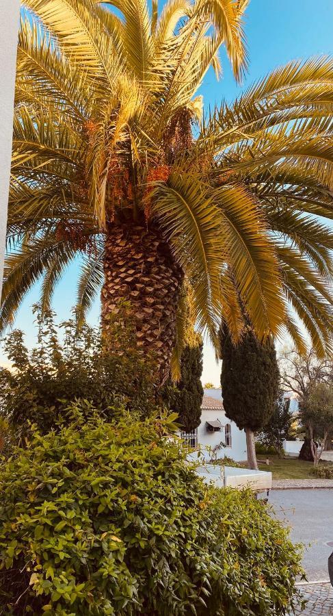 Albufeira Praia Sao Rafael Sun Apartment 外观 照片
